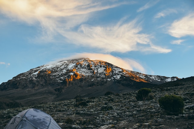 kilimanjaro