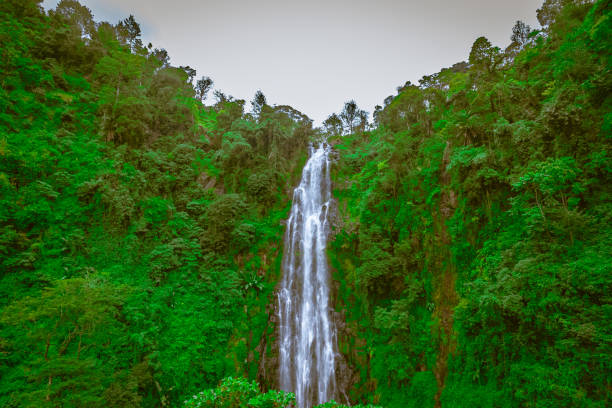 Materuni Waterfall is one of the Waterfalls in the Mware River. It is found in the village of Materuni on the edge of the Kilimanjaro mountain reserve