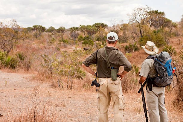 Tanzania, Africa - August 31st 2010A man on holiday standing with his armed safari guide on foot in the African bush observing an elephant close up in the Selous game reserve where walking safaris are permitted.The Selous game reserve is Africa's largest game reserve and home to over half of Tanzania's elephant population.