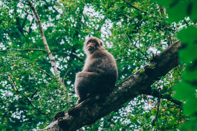 lewis-roberts-PpLFRtpobRo-unsplash